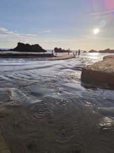 夏は海水浴