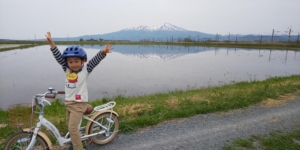 庄内平野の広い田んぼにて