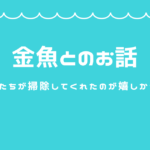 金魚とのお話　子供たちが掃除してくれたのが嬉しかったよ