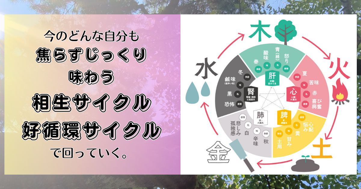 今のどんな自分も、焦らずじっくり味わう。 そうすれば相生サイクル、好循環サイクルで回っていく。